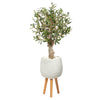 Nearly Natural T2463 3.5’ Olive Artificial Tree in White Planter with Stand