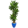 Nearly Natural 6442 6' Artificial Green Real Touch Cornstalk Dracaena Plant in Blue Planter