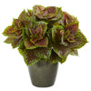 Nearly Natural 8768 20" Artificial Green Real Touch Coleus Plant in Green Planter
