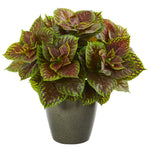 Nearly Natural 8768 20" Artificial Green Real Touch Coleus Plant in Green Planter