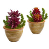 Nearly Natural 8454-S2 11" Artificial Green & Burgundy Succulent Plant in Ceramic Planter, Set of 2