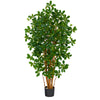 Nearly Natural T1529 4.5` Black Olive Artificial Trees