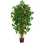 Nearly Natural T1529 4.5` Black Olive Artificial Trees