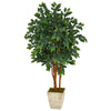 Nearly Natural T1392 5` Sakaki Artificial Tree in Country White Planters