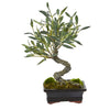 Nearly Natural 4253 13" Artificial Green Mini Olive Bonsai Tree