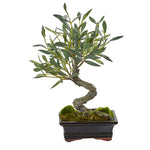 Nearly Natural 4253 13" Artificial Green Mini Olive Bonsai Tree