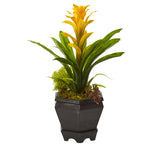 Nearly Natural Bromeliad in Black Hexagon Planter