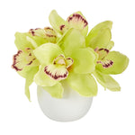Nearly Natural 8`` Cymbidium Orchid Artificial Arrangement in White Vase
