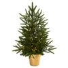 Nearly Natural 5370 2.5' Artificial Green Christmas Tree with Golden Planter & Clear Lights