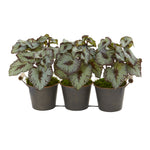 Nearly Natural 8798 10" Artificial Green Begonia Plant in Triple Potted Metal Planter