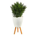 Nearly Natural T2495 3`  Cedar Artificial Tree in White Planter with Stand