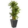 Nearly Natural 9196 4.5' Artificial Green Triple Cycas Plant in Slate Planter