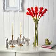 Nearly Natural A1498 28” Star Bromeliad Artificial Arrangement in Cylinder Vases