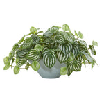 Nearly Natural 8558 19" Artificial Green Real Touch Watermelon Peperomia Plant in Green Vase