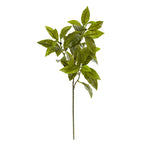 Nearly Natural 6212-S12 26" Artificial Green Real Touch Coffee Leaf Plant, Set of 12 