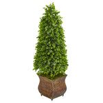 Nearly Natural 9399 41" Artificial Green Eucalyptus Cone Topiary Tree in Metal Planter (Indoor/Outdoor)