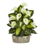 Nearly Natural 19``Calla Lily and Golden Dieffenbachia Artificial Plant in Weathered Oak Planter