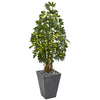 Nearly Natural 9329 57" Artificial Green Schefflera Tree in Slate Planter