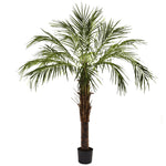 Nearly Natural 5366 6' Artificial Green Robellini Palm Tree