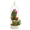 Nearly Natural P1250 24" Artificial Green Mixed Cactus Succulent Plant in Decorative Cage