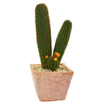 Nearly Natural 8630 23" Artificial Green Cactus Succulent Plant in Terra Cotta Planter