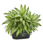 Nearly Natural 6463 20" Artificial Green Aglonema Plant in Wood Planter