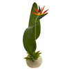 Nearly Natural 1722 23" Bird of Paradise & Succulent Artificial Arrangement