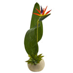 Nearly Natural 1722 23" Bird of Paradise & Succulent Artificial Arrangement