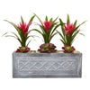 Nearly Natural 6924 18.5" Artificial Green & Red Ginger & Succulent Plant in Stone Planter