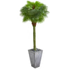 Nearly Natural 9281 6.5' Artificial Fan Palm Tree in Cement Planter, UV Resistant (Indoor/Outdoor)