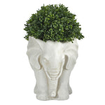 Nearly Natural 16``Boxwood Topiary Artificial Plant in Elephant Shaped Planter UV Resistant (Indoor/Outdoor)