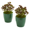 Nearly Natural 8205-S2 8" Artificial Green Sedum Plant in Green Planter, Set of 2