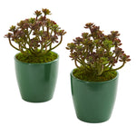 Nearly Natural 8205-S2 8" Artificial Green Sedum Plant in Green Planter, Set of 2