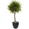 Nearly Natural 5780 5.5' Artificial Green Ficus Tree in Black Wash Planter, UV Resistant (Indoor/Outdoor)