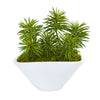 Nearly Natural 8442 10" Artificial Green Succulent Garden Plant in Oval White Vase