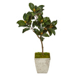 Nearly Natural 9638 42" Artificial Green Magnolia Leaf Tree in Country White Planter