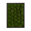 Nearly Natural P1513 17`` X 24`` Artificial Moss Hanging Frames