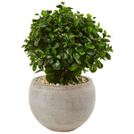 Nearly Natural 6993 2' Artificial Green Eucalyptus in Sand Colored Bowl, UV Resistant (Indoor/Outdoor)
