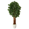 Nearly Natural T2161 6’ Lychee Artificial Tree in White Planters