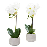 Nearly Natural 4297-S2 15" Artificial White Phalaenopsis Orchid Arrangement in Ceramin Vase, Set of 2