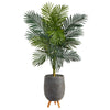 Nearly Natural T2480 58`` Golden Cane Artificial Palm Tree in Gray Tri-Pod Planter