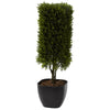 Nearly Natural 4967 15`` Cedar Bonsai Plants