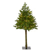 Nearly Natural 3` Swiss Alpine Artificial Christmas Tree with 50 Clear LED Lights and 60 Bendable Branches