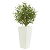 Nearly Natural 9219 3.5' Artificial Green Olive Tree in White Planter