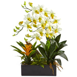 Nearly Natural Dendrobium and Bromeliad Arrangement