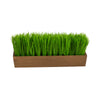 Nearly Natural P1656 12” Grass Artificial Plant in Decorative Planters