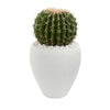 Nearly Natural 8122 20" Artificial Green Cactus Plant in White Planter