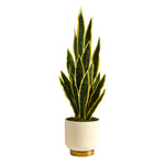 Nearly Natural P1593 ’ Sansevieria Artificial Plant in Cream Planter with Gold Base