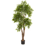 Nearly Natural 9147 69" Artificial Green Ruscus Tree, UV Resistant (Indoor/Outdoor)