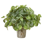 Nearly Natural 8574 13" Artificial Green Real Touch Peperomia Plant in Weathered Oak Planter